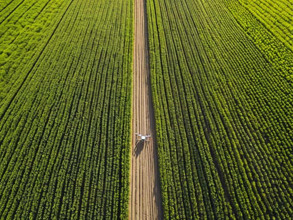 Revolving Fields With Autonomous Ease