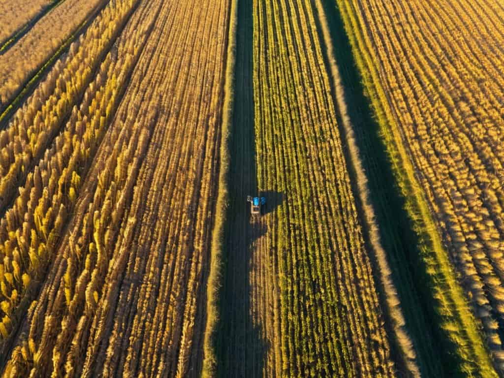 Drone AI for precision agriculture success